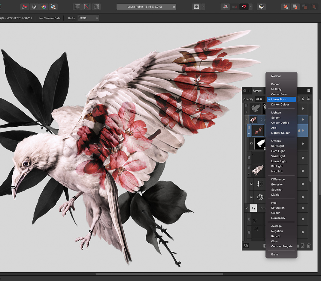 Affinity Photo Editor